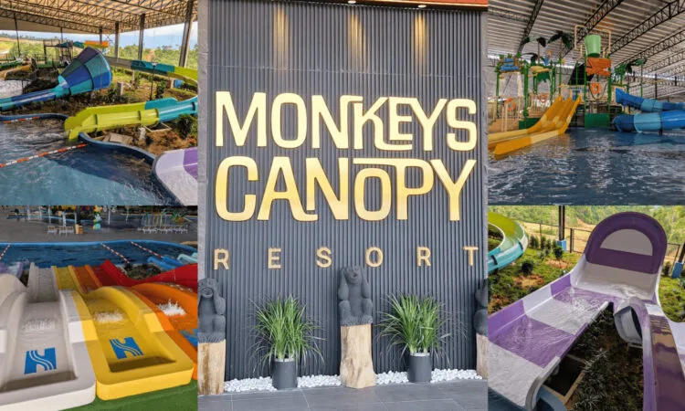 Sources: Twitter (@v_leemar), Monkeys Canopy