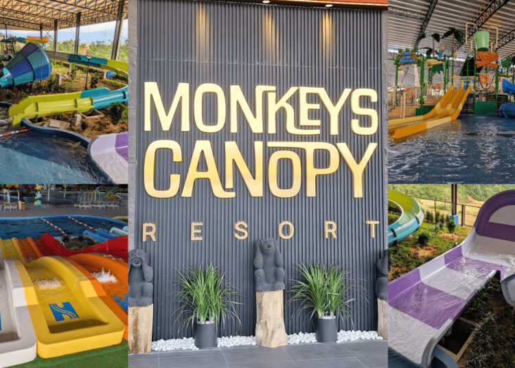 Sources: Twitter (@v_leemar), Monkeys Canopy