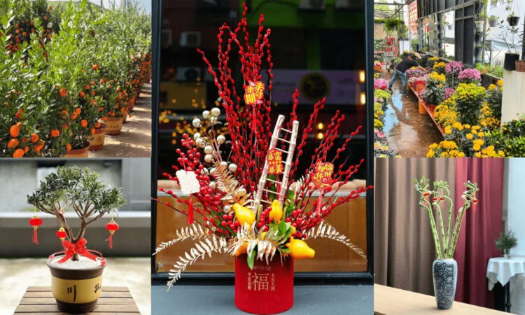 Sources: Instagram (@puduriafloristkl), (@floristikaofficial), (wenghoaflower), (@pulpy_garden), Facebook (盆栽人. bonsai-ren)