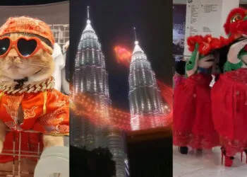 Source: TikTok (@doggystep), (@placesmalaysia), (@ponlork20)