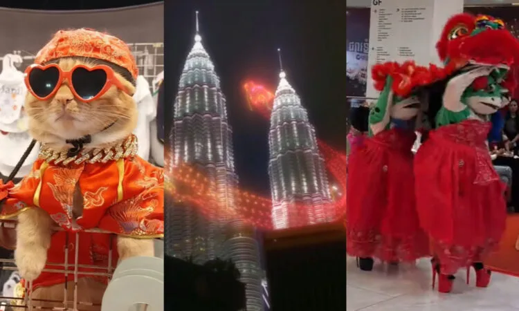 Source: TikTok (@doggystep), (@placesmalaysia), (@ponlork20)