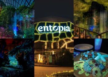 Source: Instagram (@/myentopia)