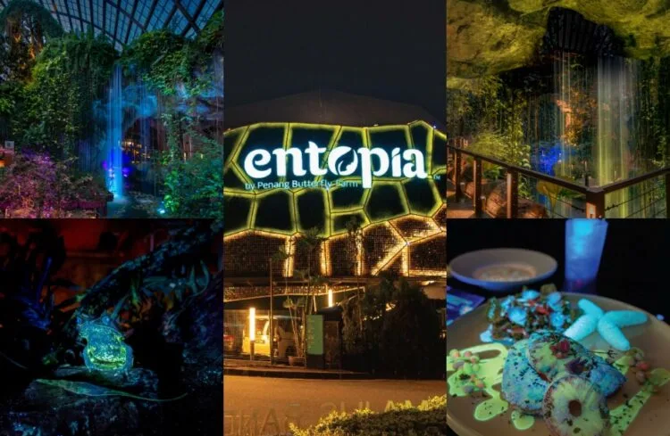 Source: Instagram (@/myentopia)