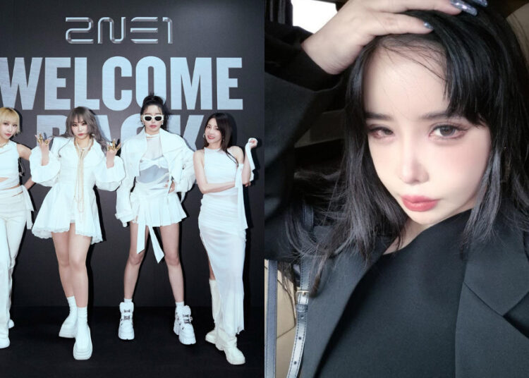 SOURCES: INSTAGRAM (@chaelincl & @newharoobompark)