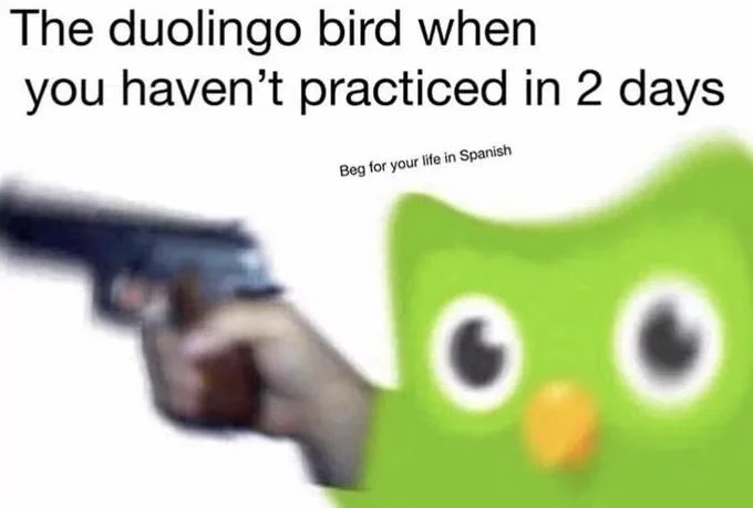 The duolingo bird when you haven't practiced in 2 days Beg for your life in Spanish. No I'm not sorry I pulled this off of KnowYourMeme, and I'll do it again!