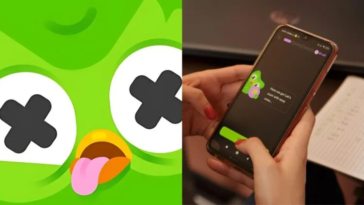 Source: Doulingo, ZDNET