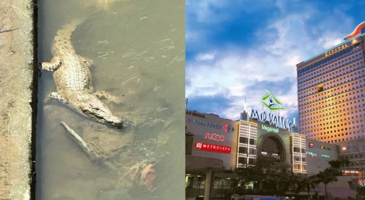 Source: Twitter @sangratu18, Booking.com