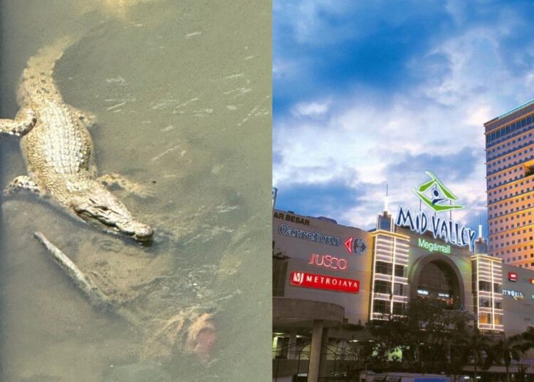 Source: Twitter @sangratu18, Booking.com