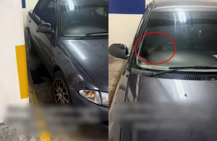 Source: TikTok/rizwankamarulzaman