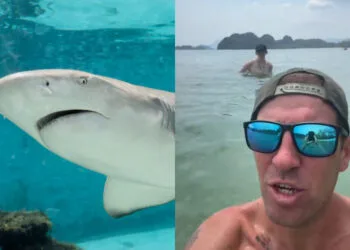 Source: Sahabat Alam Malaysia, TikTok/mickygryllz