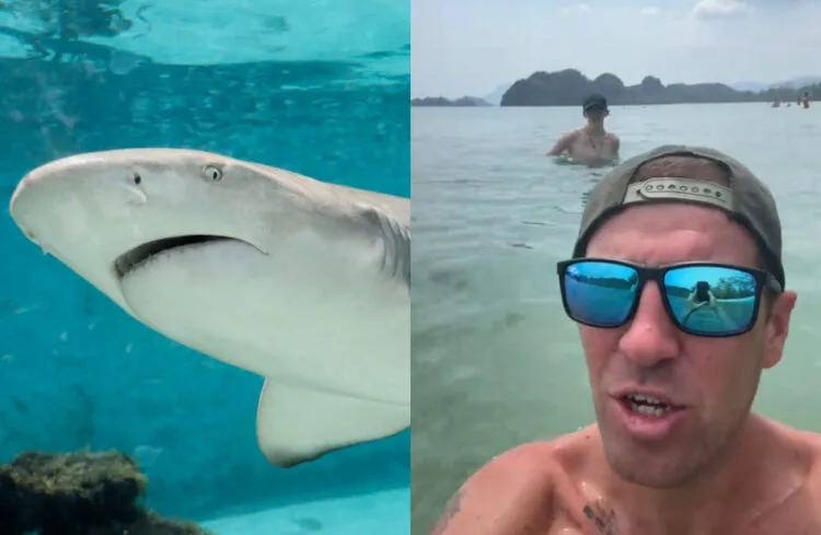 Source: Sahabat Alam Malaysia, TikTok/mickygryllz