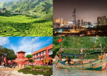 Sources: Viator, Holidify, Pelago, Expedia