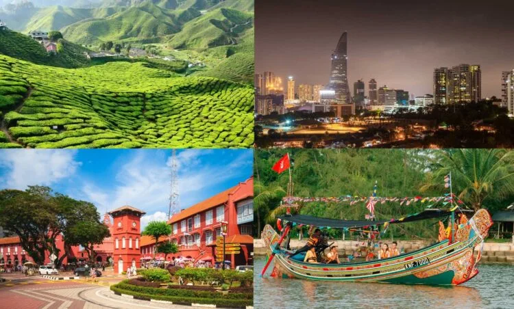 Sources: Viator, Holidify, Pelago, Expedia