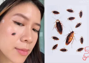 Source: Instagram (@/dododots)