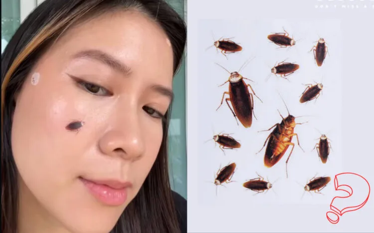 Source: Instagram (@/dododots)