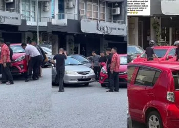 Source: TikTok @alianadhierah