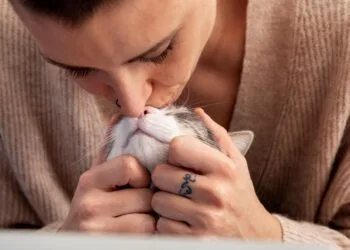 Image Source: Freepik