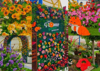 Source: IG/legolandmalaysia