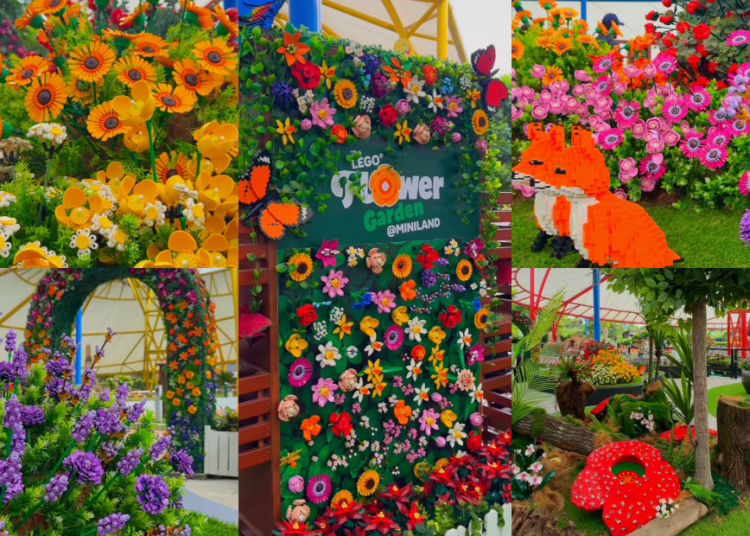 Source: IG/legolandmalaysia