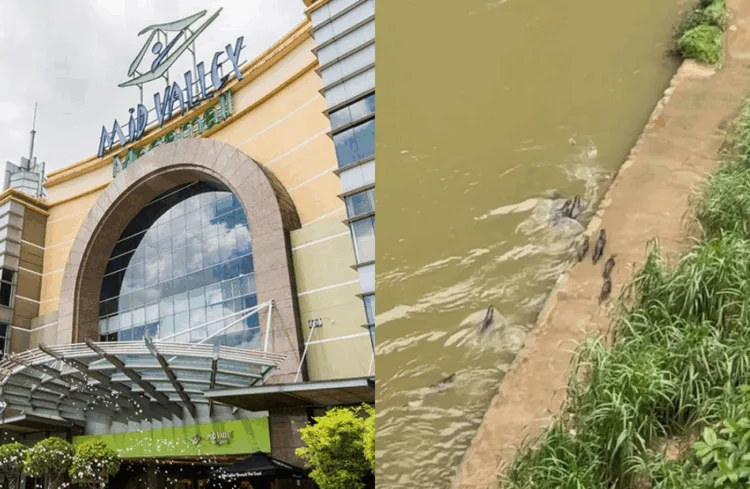 Source: Facebook/MidValleyMegamall, Xiaohongshu/长得黑不是黑妹