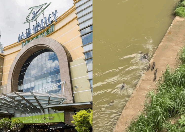 Source: Facebook/MidValleyMegamall, Xiaohongshu/长得黑不是黑妹