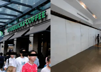 SOURCES: THE MALAYSIAN RESERVE & XIAOHONGSHU (Bosco)