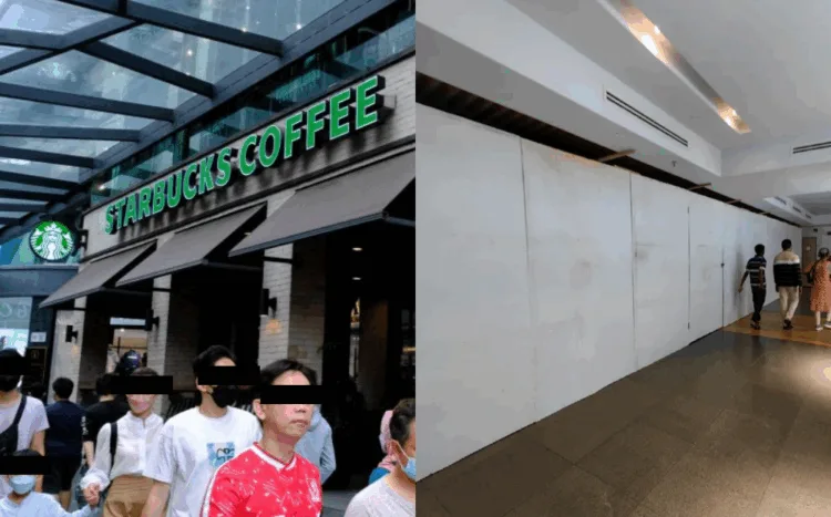 SOURCES: THE MALAYSIAN RESERVE & XIAOHONGSHU (Bosco)