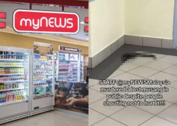 Source: TikTok/heeshlee, myNEWS