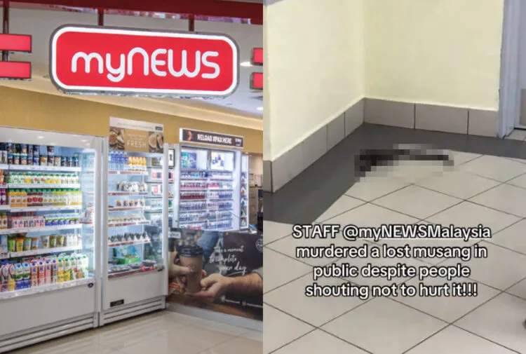 Source: TikTok/heeshlee, myNEWS