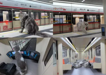 Source: YouTube/Xing's World