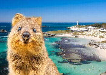 Image Source: Forever Travel