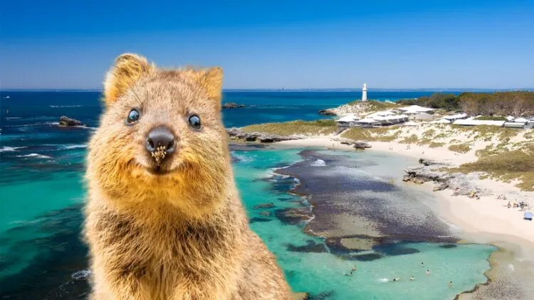 Image Source: Forever Travel