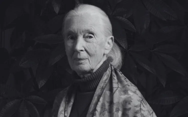 SOURCE: INSTAGRAM (@janegoodallinst)