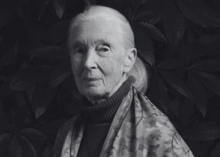 SOURCE: INSTAGRAM (@janegoodallinst)