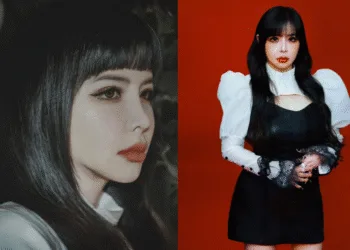 Sources: Twitter/dnation_ent, Instagram/2ne1official