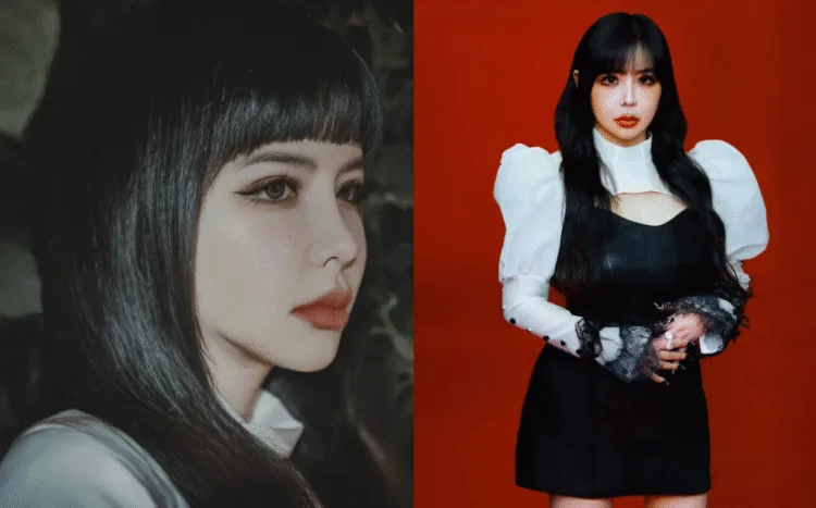 Sources: Twitter/dnation_ent, Instagram/2ne1official