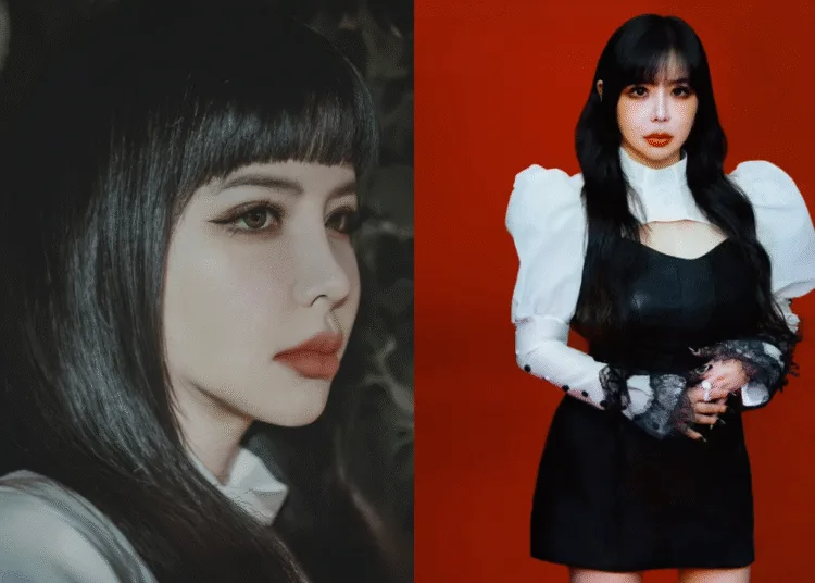 Sources: Twitter/dnation_ent, Instagram/2ne1official