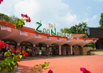 Source: Sunway Hotels