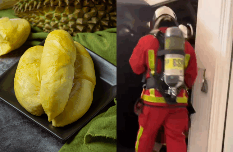 Source: Freepik, TikTok/faroy