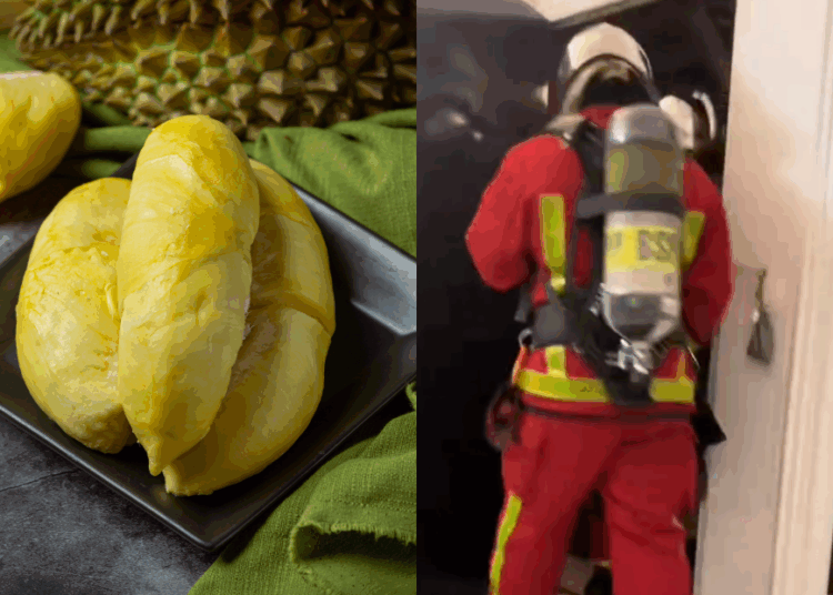 Source: Freepik, TikTok/faroy