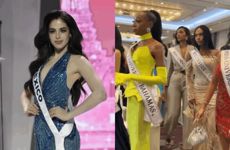 Source: IG/fatimaboschfdz, Twitter/Dainsleif_10