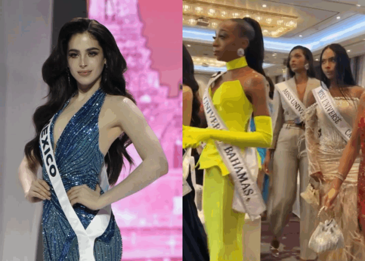 Source: IG/fatimaboschfdz, Twitter/Dainsleif_10