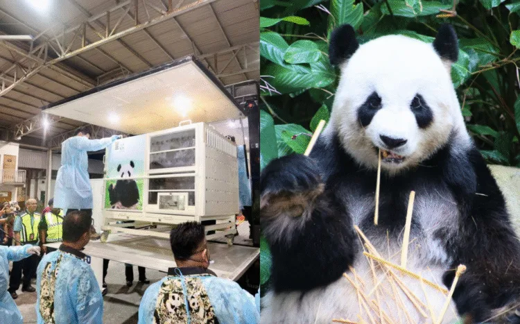 Sources: Facebook/Kementerian Sumber Asli dan Kelestarian Alam (NRES), Facebook/Zoo Negara Malaysia