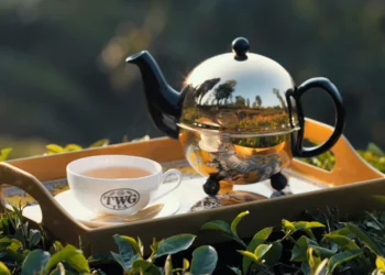 Image Source: TWG
