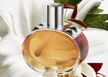 SOURCE: HERMÈS