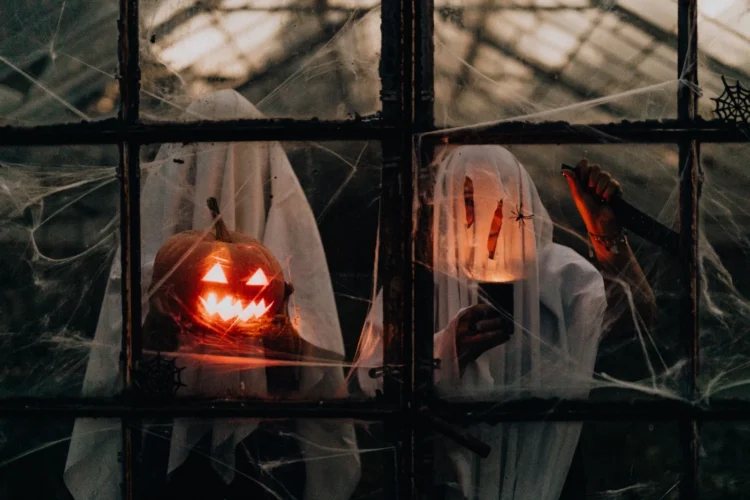 image source: pexels